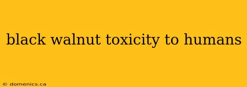 black walnut toxicity to humans