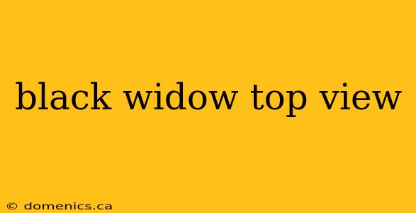black widow top view