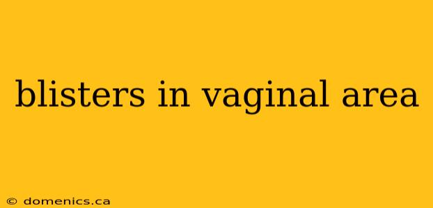 blisters in vaginal area