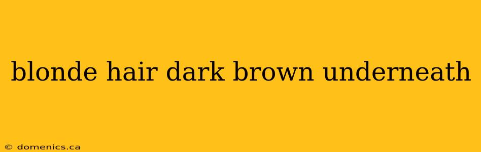 blonde hair dark brown underneath