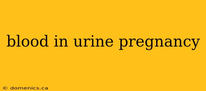 blood in urine pregnancy