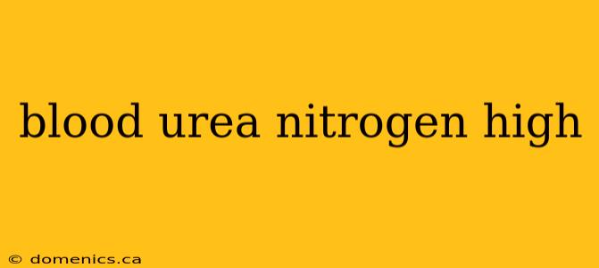 blood urea nitrogen high