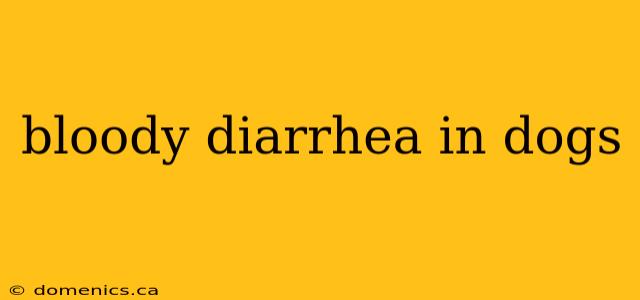 bloody diarrhea in dogs