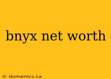 bnyx net worth