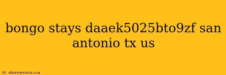 bongo stays daaek5025bto9zf san antonio tx us