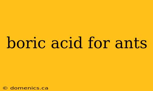 boric acid for ants