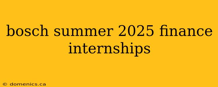 bosch summer 2025 finance internships