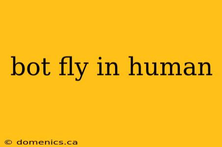 bot fly in human