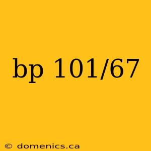 bp 101/67