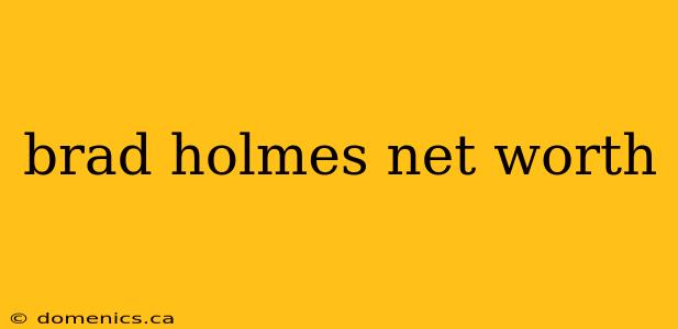 brad holmes net worth