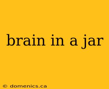 brain in a jar