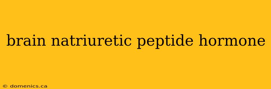 brain natriuretic peptide hormone