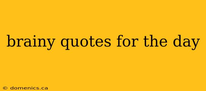 brainy quotes for the day