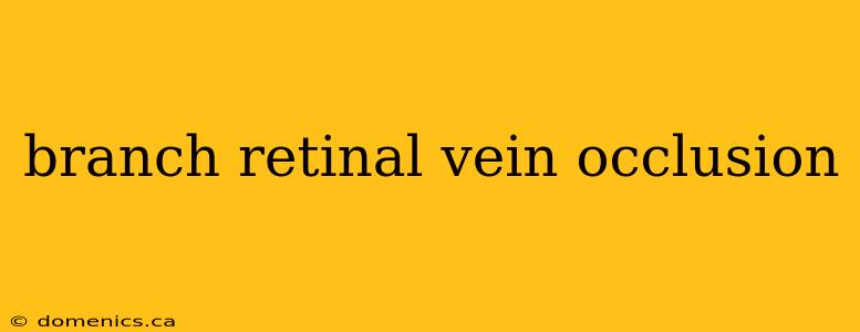 branch retinal vein occlusion