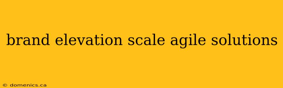 brand elevation scale agile solutions