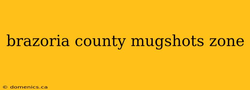 brazoria county mugshots zone