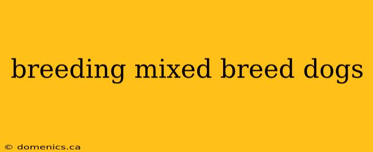 breeding mixed breed dogs