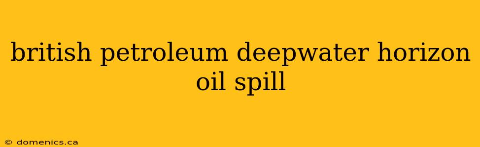 british petroleum deepwater horizon oil spill