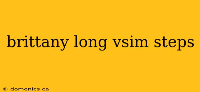 brittany long vsim steps