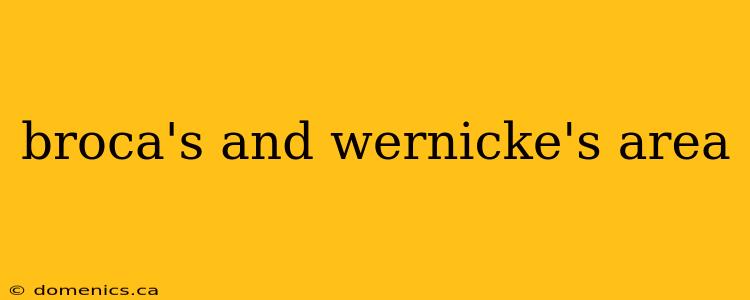 broca's and wernicke's area