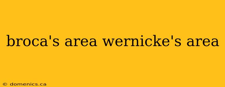 broca's area wernicke's area