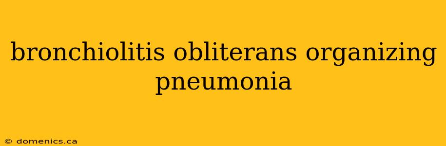 bronchiolitis obliterans organizing pneumonia