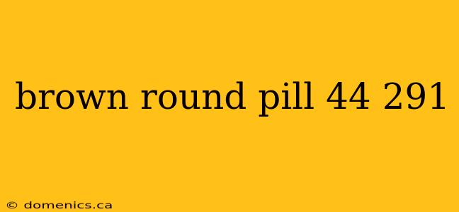 brown round pill 44 291