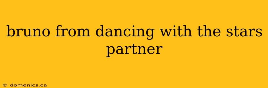 bruno from dancing with the stars partner