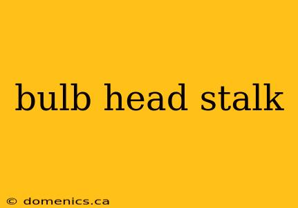 bulb head stalk