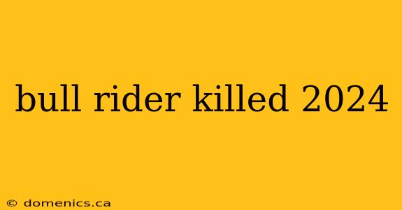 bull rider killed 2024