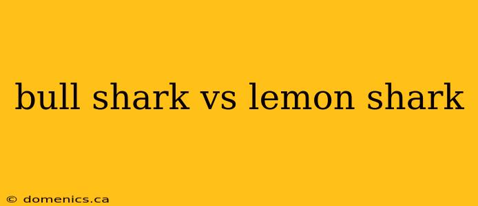 bull shark vs lemon shark