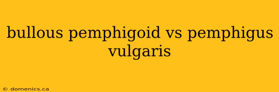 bullous pemphigoid vs pemphigus vulgaris