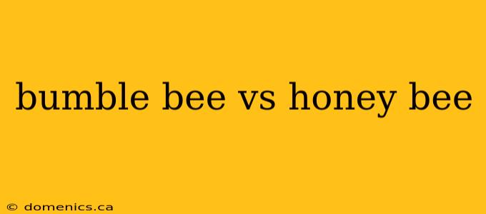 bumble bee vs honey bee