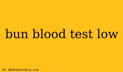 bun blood test low