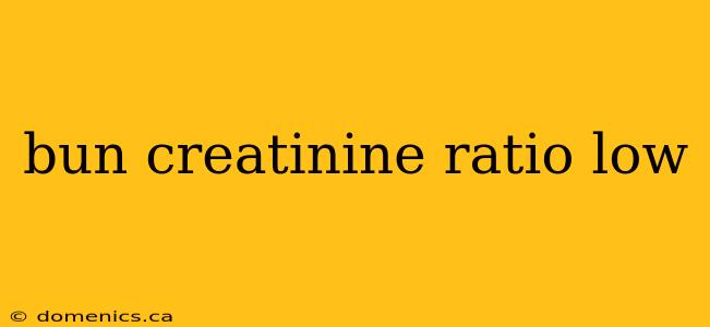 bun creatinine ratio low