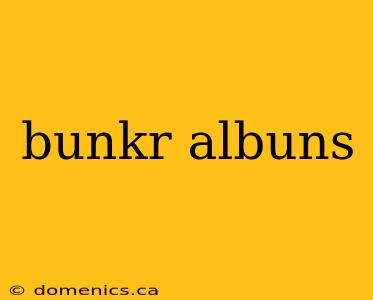 bunkr albuns