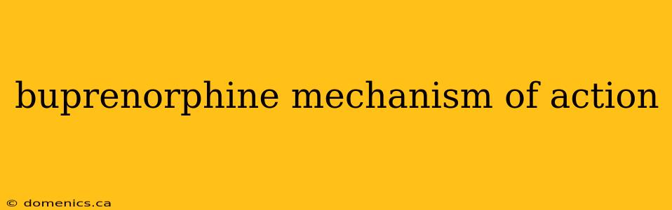 buprenorphine mechanism of action