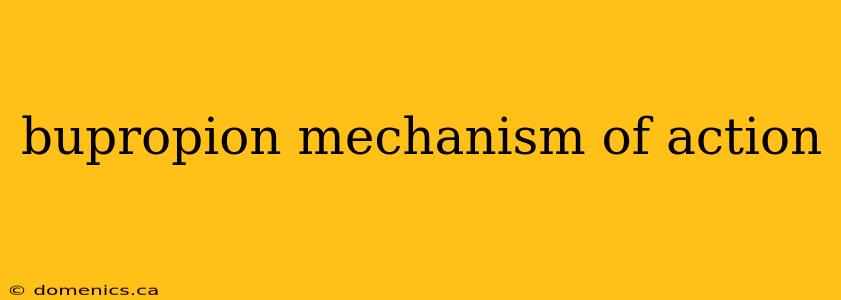 bupropion mechanism of action