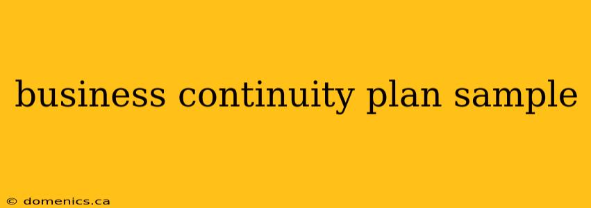 business continuity plan sample