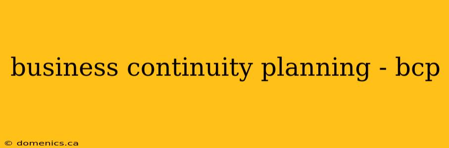 business continuity planning - bcp