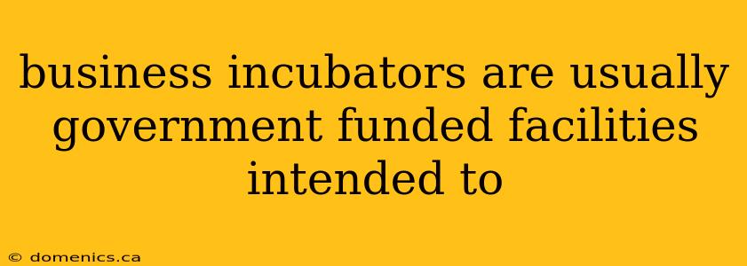 business incubators are usually government funded facilities intended to