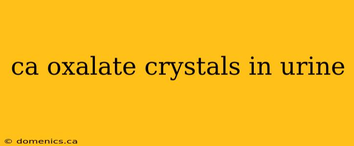 ca oxalate crystals in urine