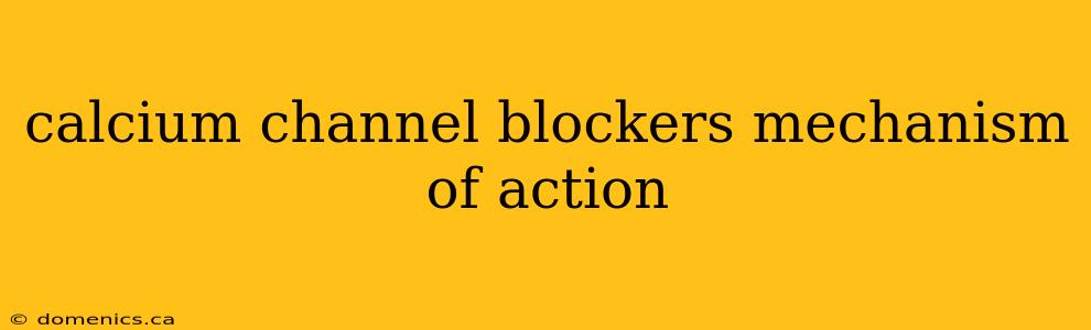 calcium channel blockers mechanism of action