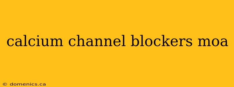 calcium channel blockers moa