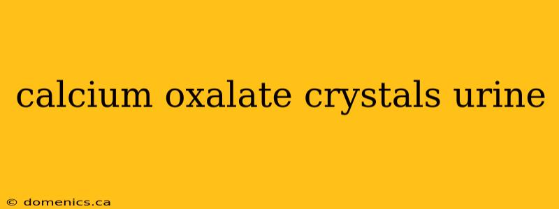 calcium oxalate crystals urine