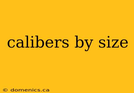 calibers by size
