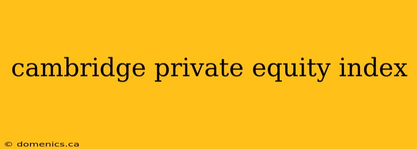 cambridge private equity index
