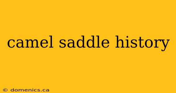 camel saddle history