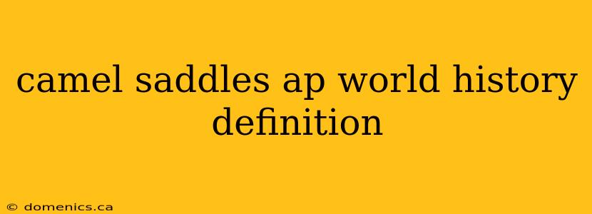 camel saddles ap world history definition