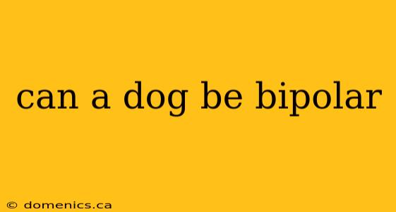 can a dog be bipolar